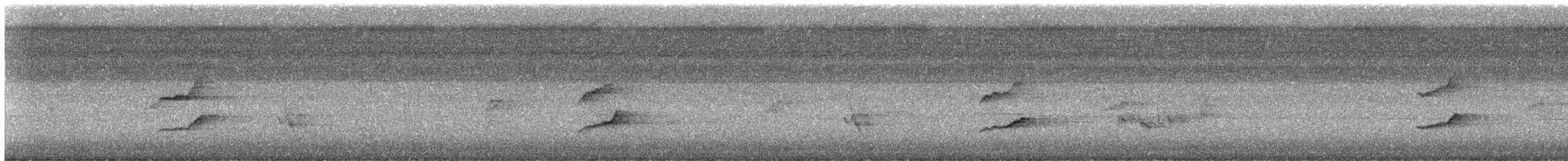 drongo vraní - ML645593079