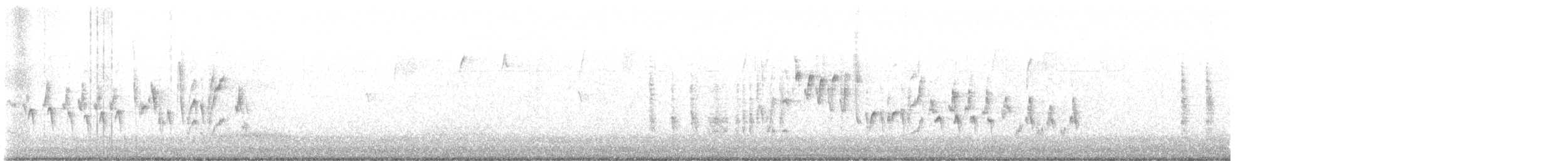 Chochín Criollo Norteño - ML645593230