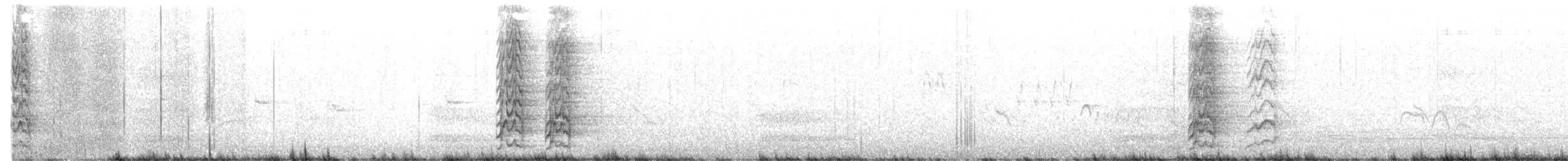 Austral Parakeet - ML645593338