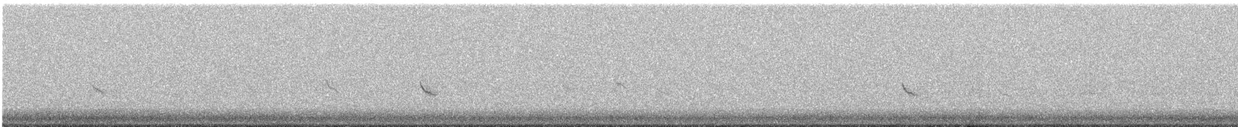 Snow Bunting - ML645593572