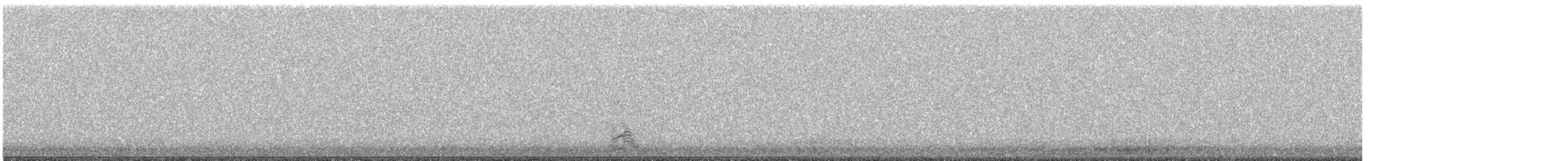 Snow Goose - ML645593841