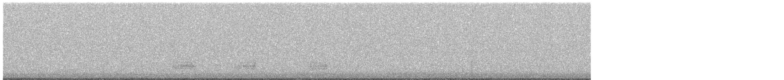 Mallard - ML645593881