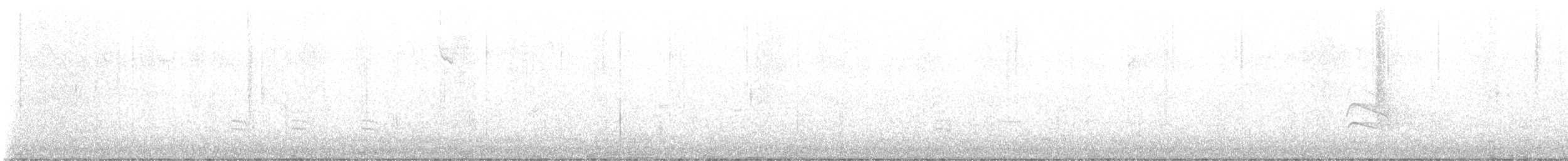 Chupasavia Norteño - ML645593928