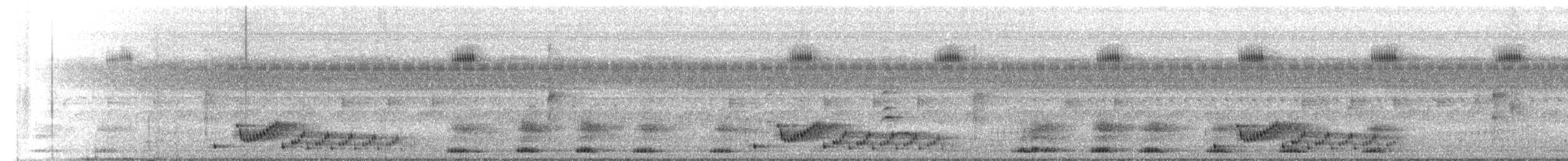 Common Pauraque - ML645593979