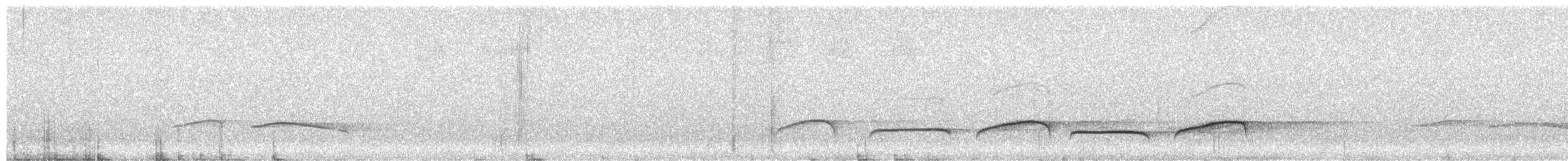 Chinese Babax - ML645594003