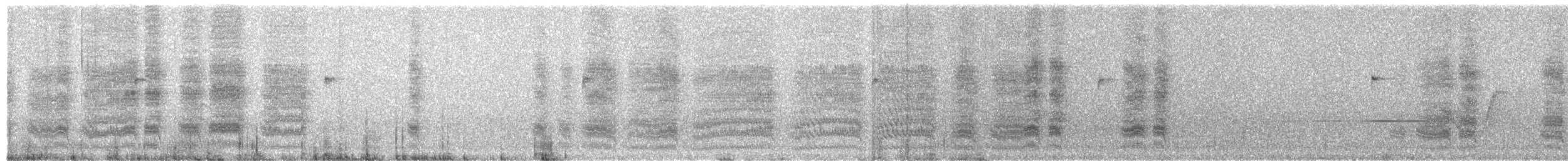 Chinese Babax - ML645594017