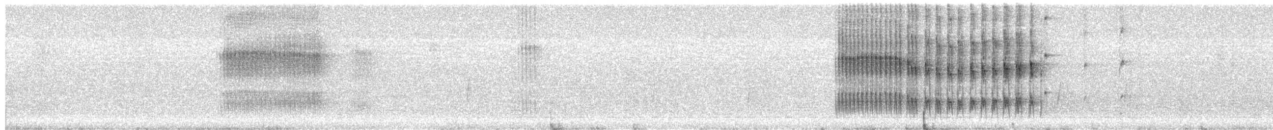 Black-headed Sibia - ML645594045