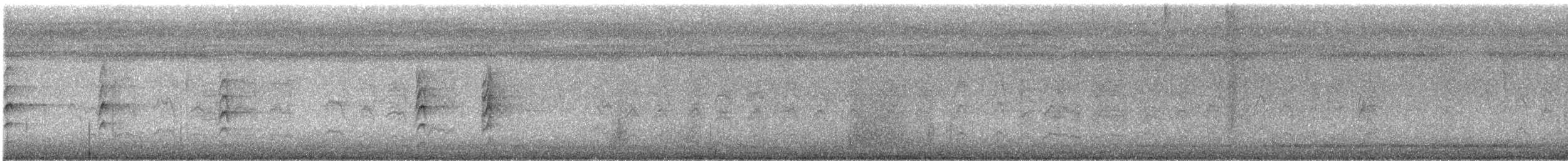 Malaysian Pied-Fantail - ML645594363