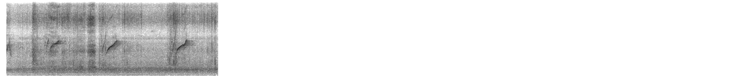 Purpurnektarvogel - ML645594474