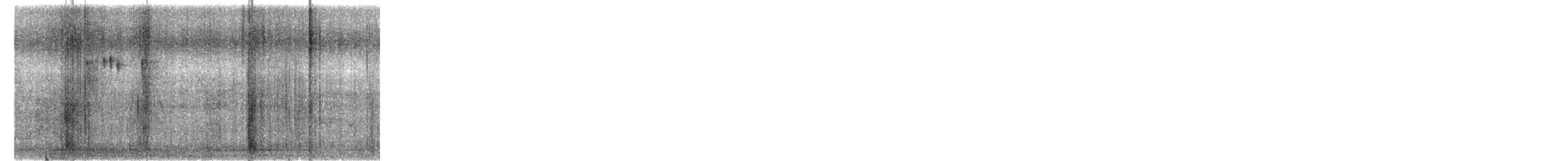 Blassschnabel-Mistelfresser - ML645594546