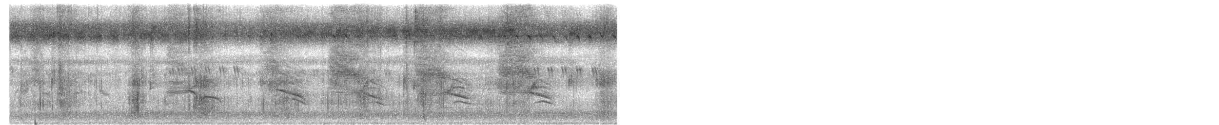 Malcolmdrosselhäherling - ML645594583