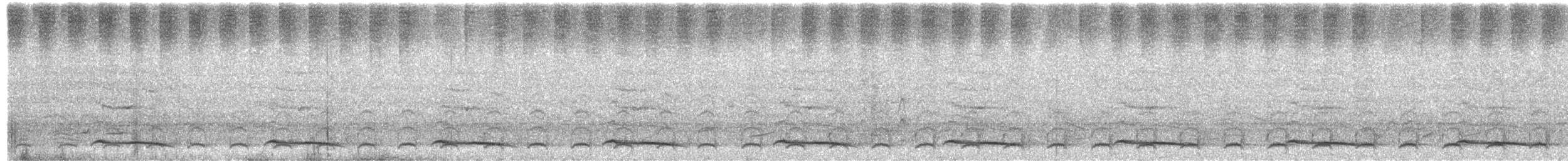 Heulbartvogel - ML645594606