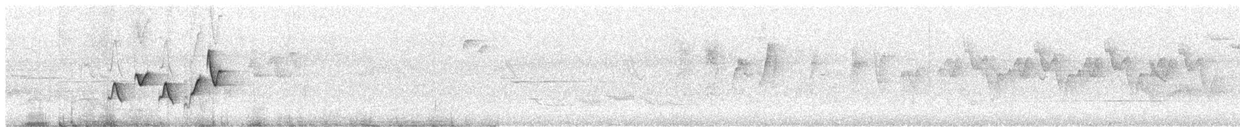 Скриточуб сичуанський - ML645594630