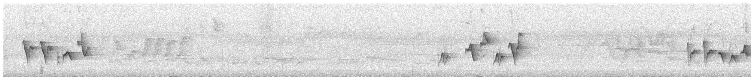 Скриточуб сичуанський - ML645594635