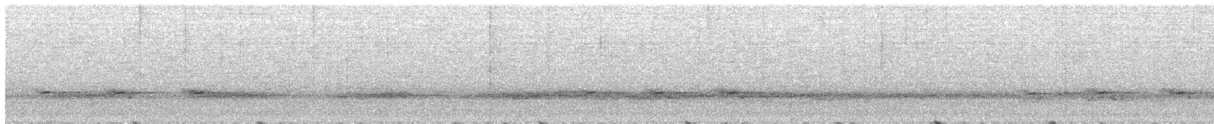 Куцокрил сичуанський - ML645594653