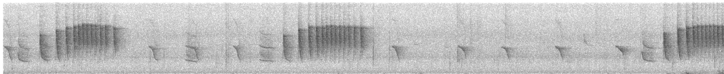 Канарниця сіроголова - ML645594656
