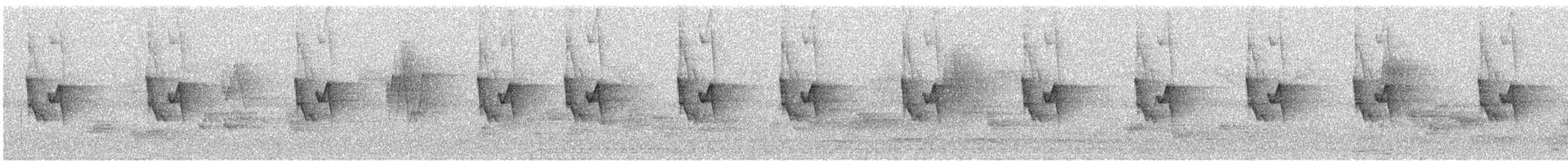 Тусклая пеночка - ML645594807