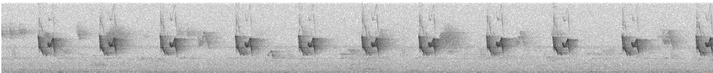 Тусклая пеночка - ML645594808