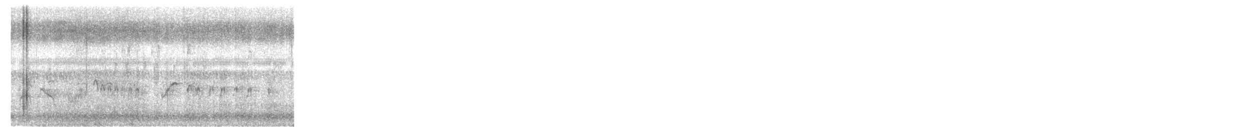 Yellow-eyed Babbler - ML645594914