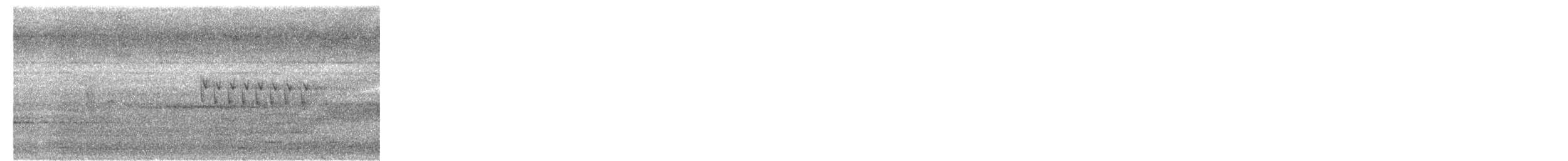 Ashy Prinia - ML645595457