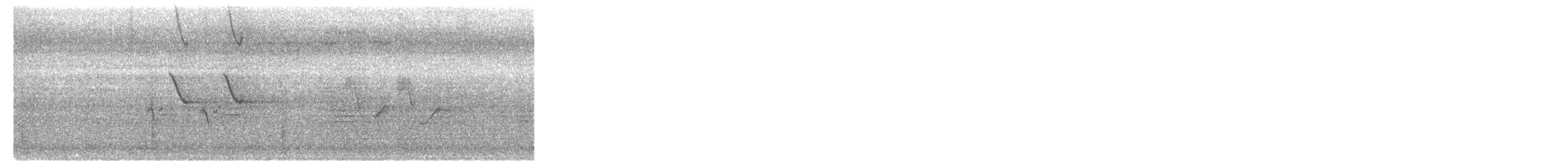 Bergeronnette indienne - ML645595480