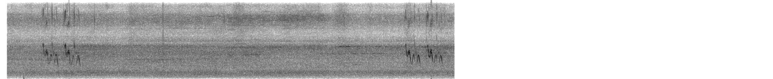 Bergeronnette indienne - ML645595505