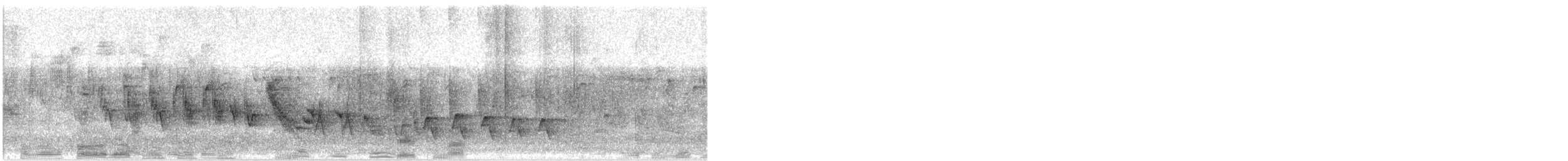 Txonta afrikarra - ML645595669