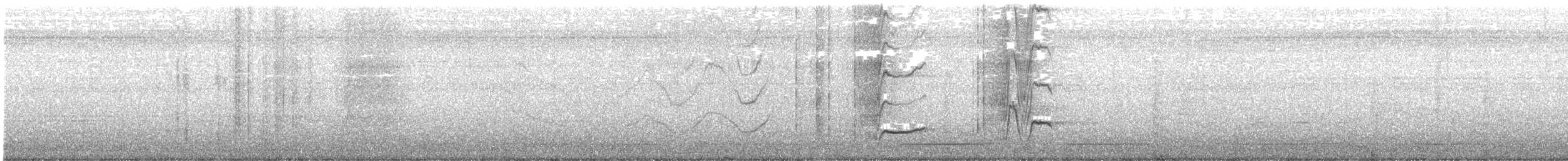 Great-tailed Grackle (Great-tailed) - ML645596038