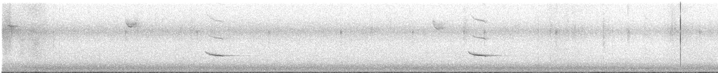 Hermit Thrush - ML645596439