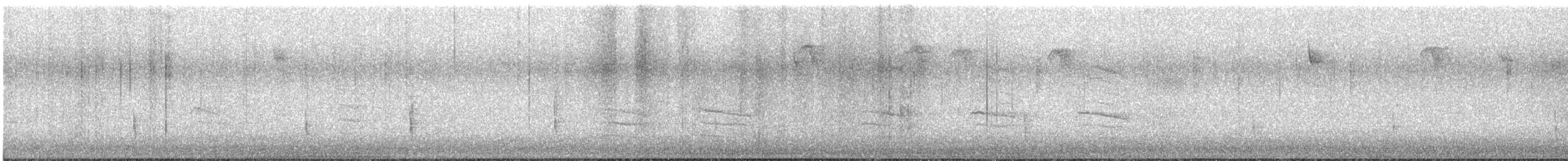 Hermit Thrush - ML645596446