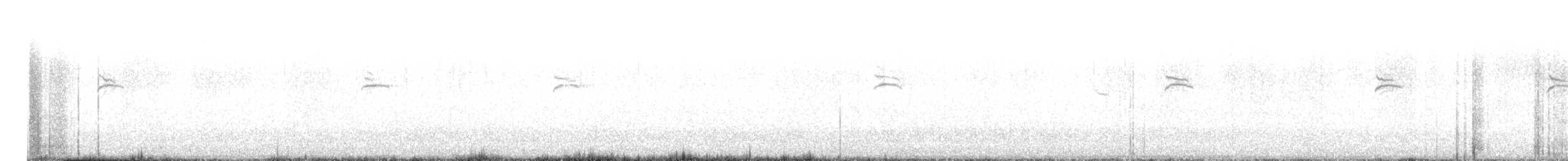 Tuntun arrunta - ML645596470