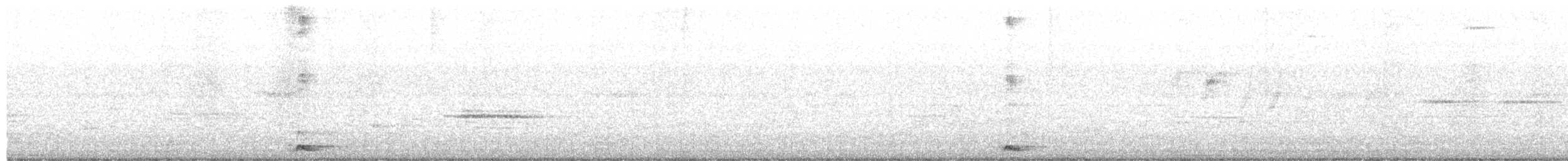 Asian Koel - ML645596802