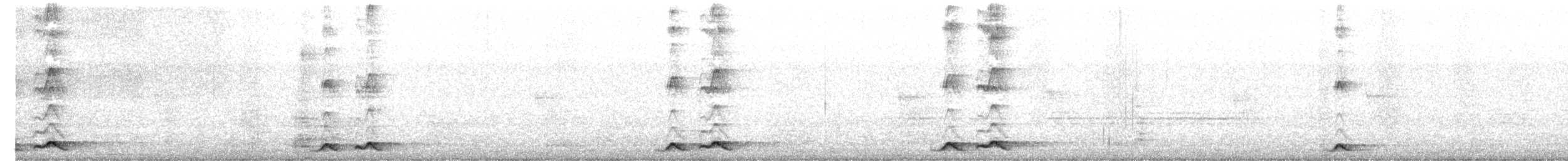 Asian Koel - ML645596803