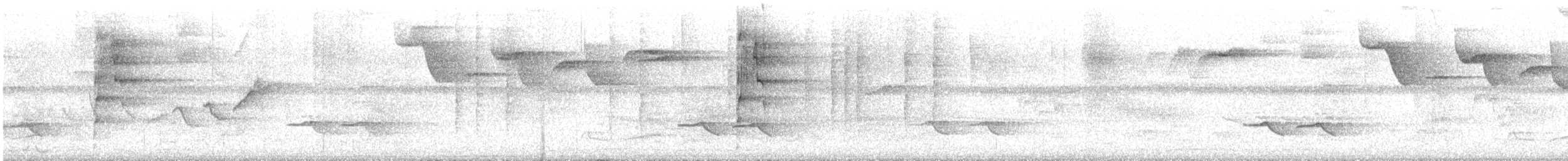 Collared Aracari - ML645596830