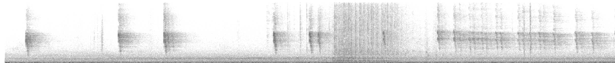 Northern Mockingbird - ML645596908