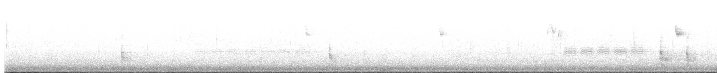 datel karolínský - ML645597415