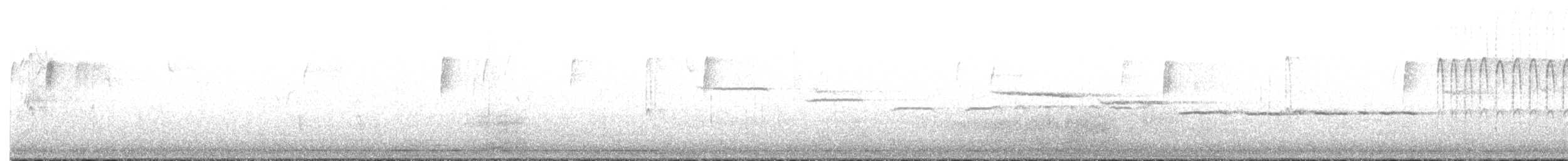 strnadec bělohrdlý - ML645597481