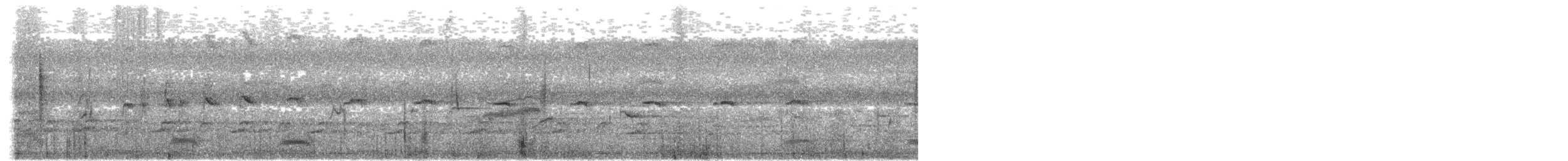 dytík indický - ML645597765