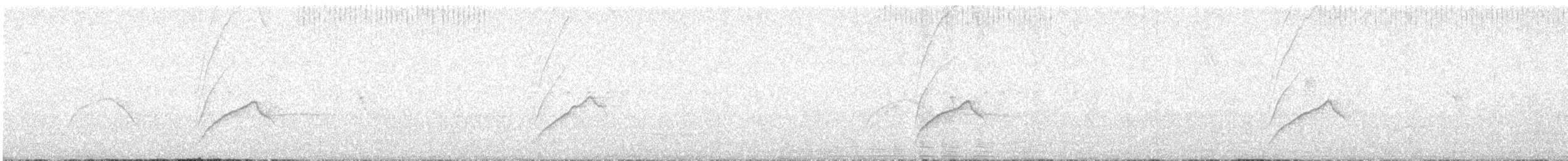 Long-tailed Tyrant - ML645597816