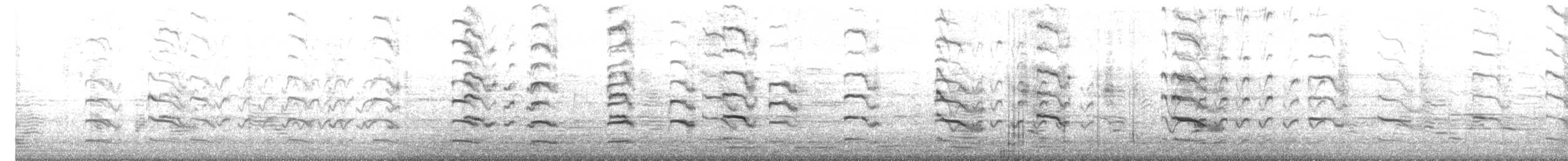 čejka indická - ML645597836