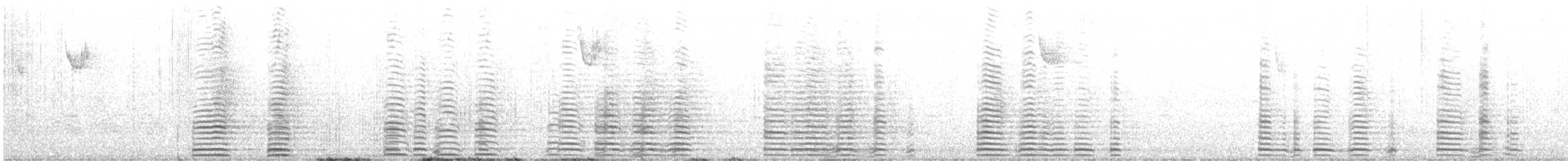 labuť trubač - ML645597890