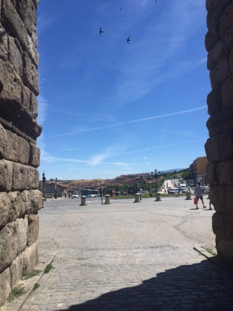 Common Swift - ML645598490