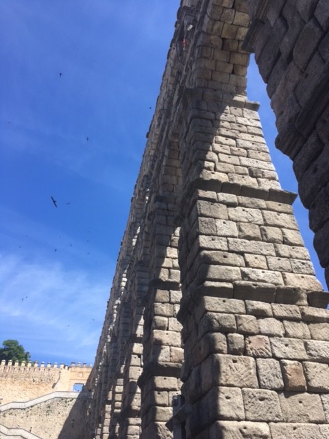 Common Swift - ML645598491