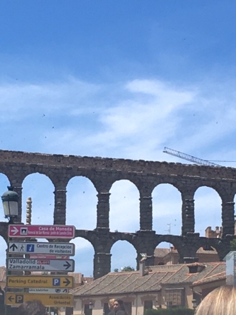 Common Swift - ML645598492