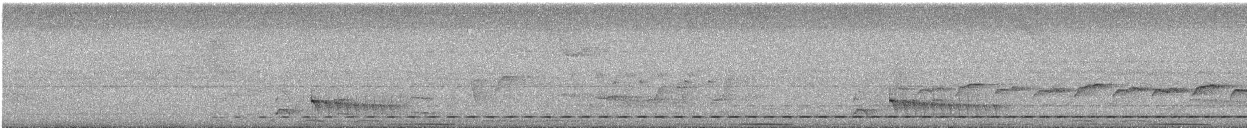 Short-tailed Antthrush - ML645598747