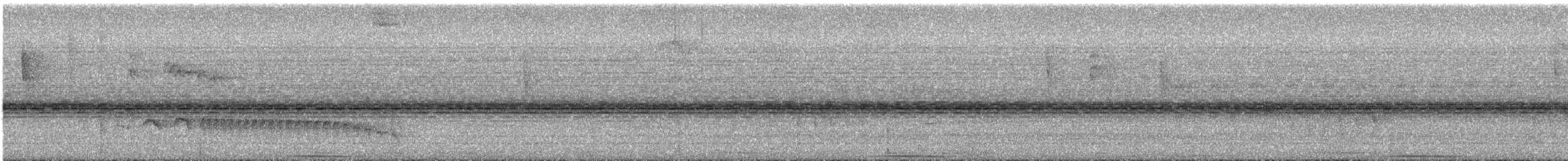 Creamy-bellied Antwren - ML645598758