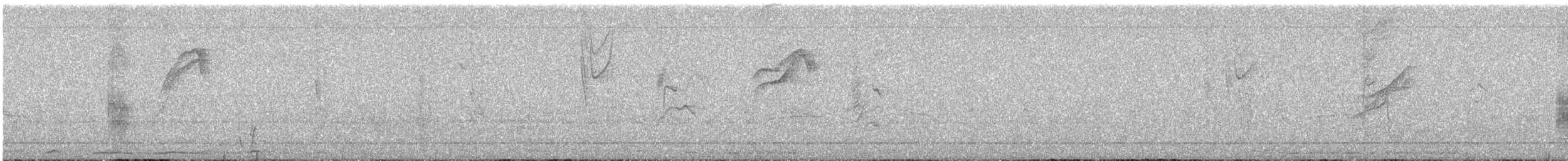 Masked Tityra - ML645598778