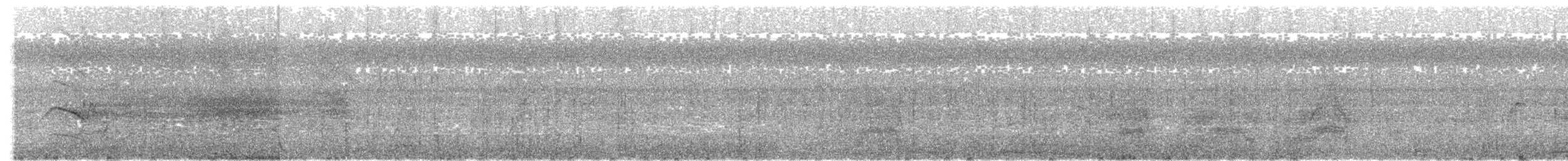 Black-winged Kite - ML645599132