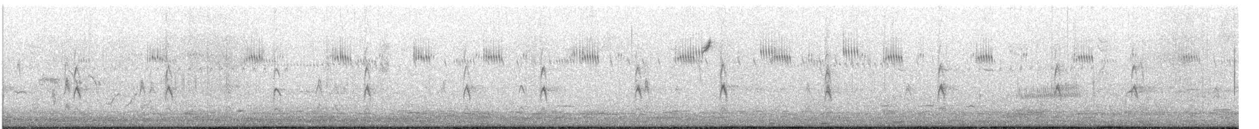 Song Sparrow - ML645599512