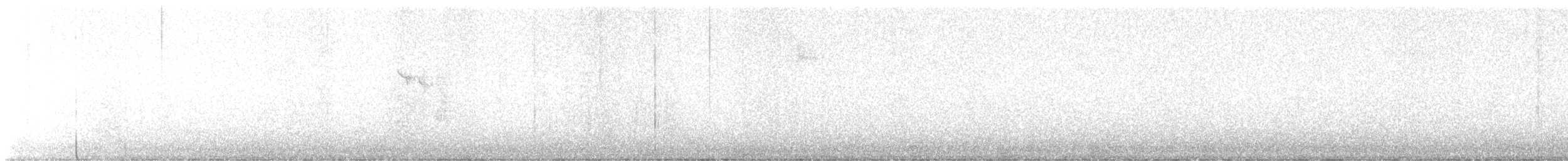 White-throated Sparrow - ML645599622